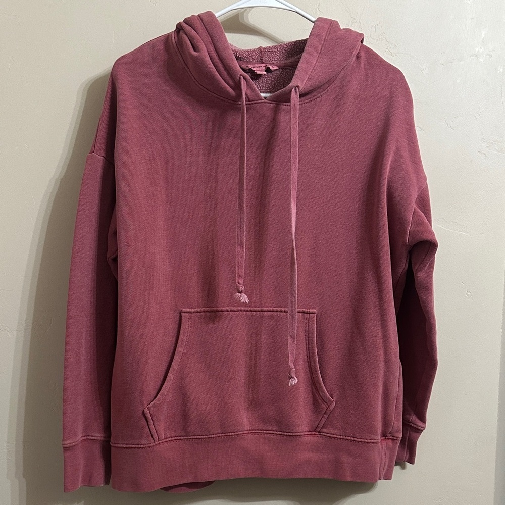 AE Dark Raspberry Classic Fit Hoodie